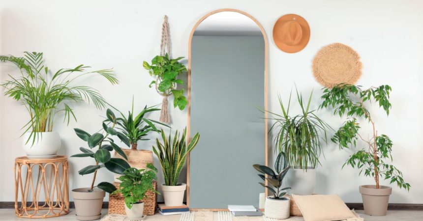 Mirror Wall Decor