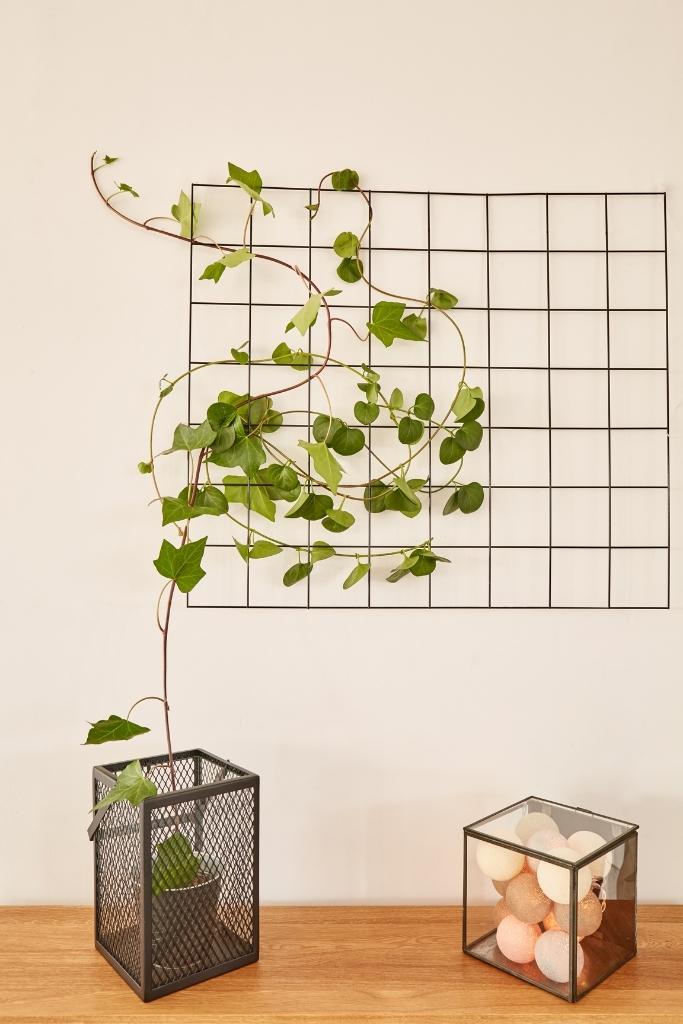Aesthetic Wall Decor Ideas