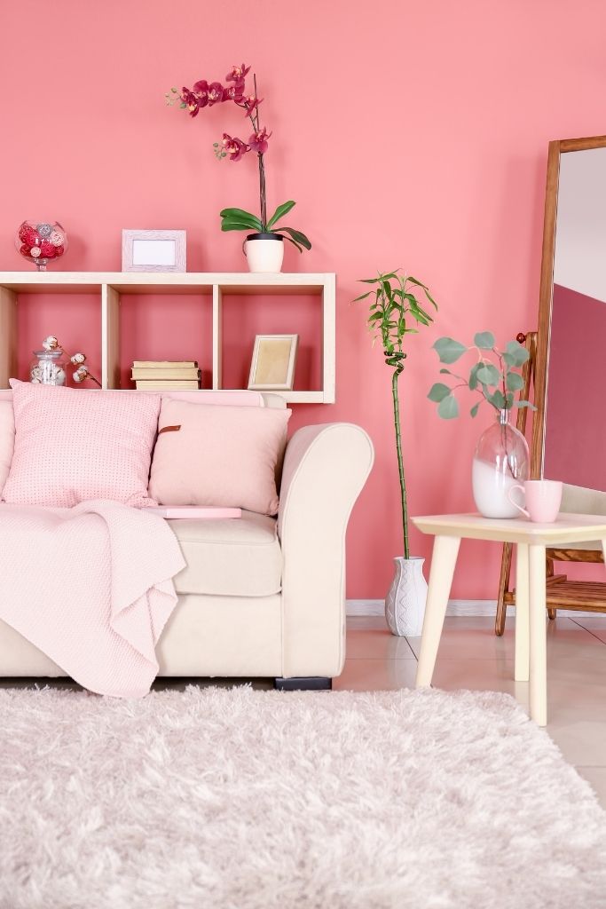 Pink Living Room Decor