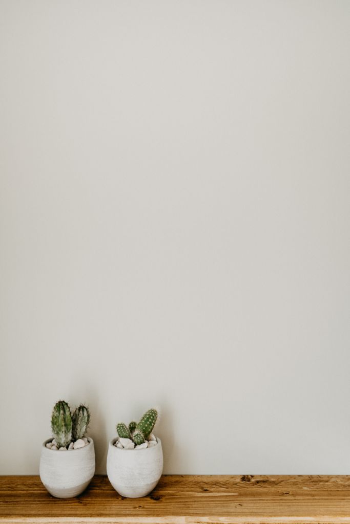 wall decor ideas