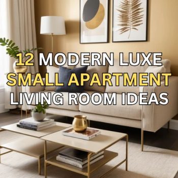 12 Modern Luxe Small Apartment Living Room Ideas