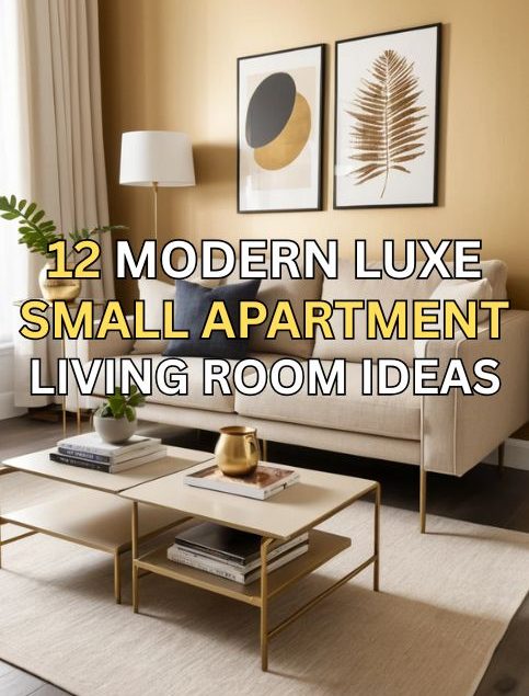 12 Modern Luxe Small Apartment Living Room Ideas